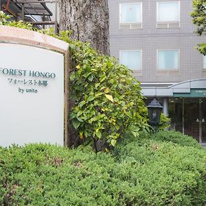 Forest Hongo By Unito